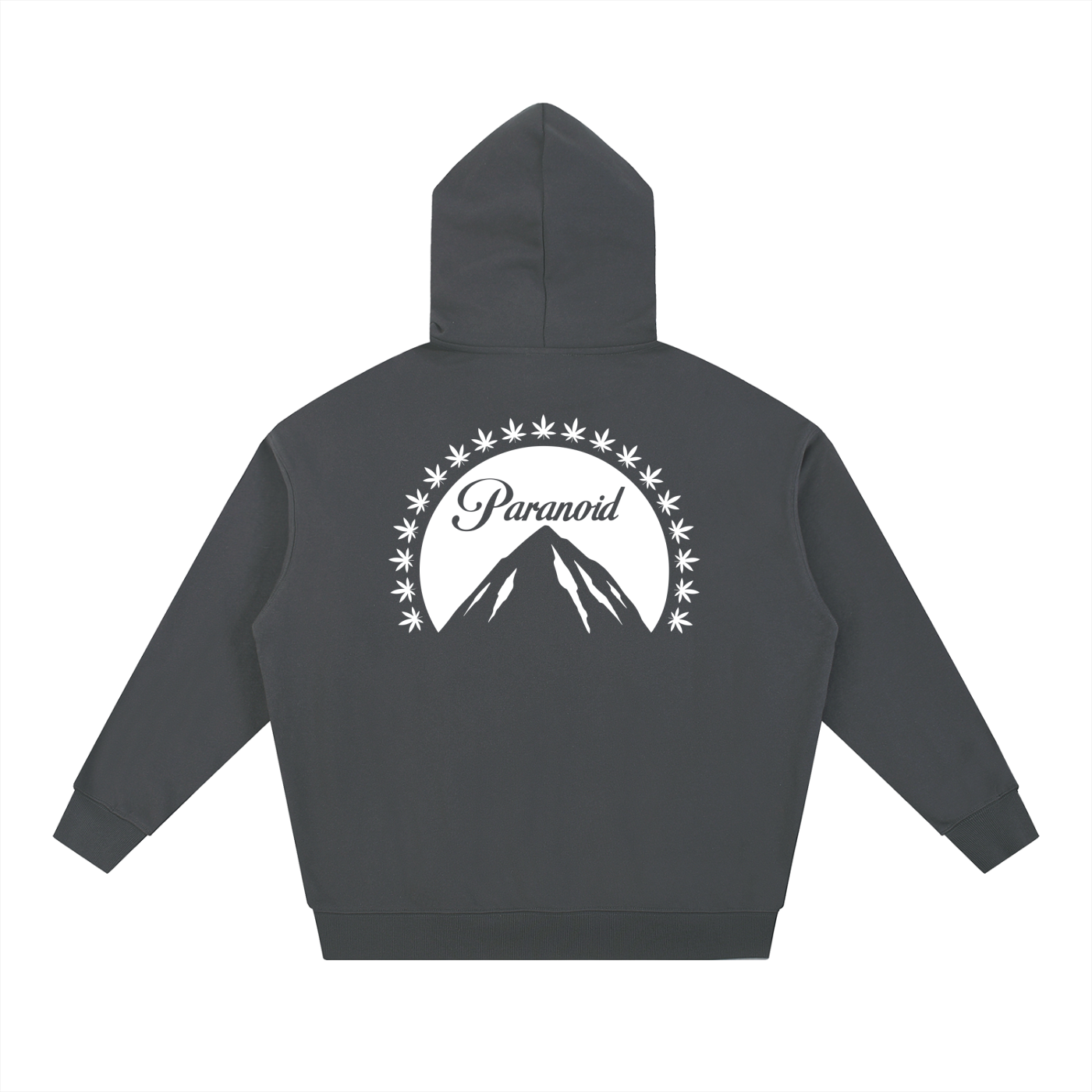 Paranoid Hoodie